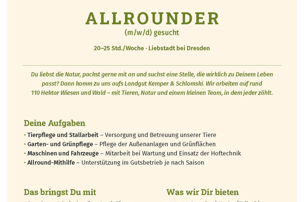 Startbild - Allrounder (m/w/d)